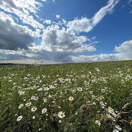 Na Statku Babiccino Udoli 3*